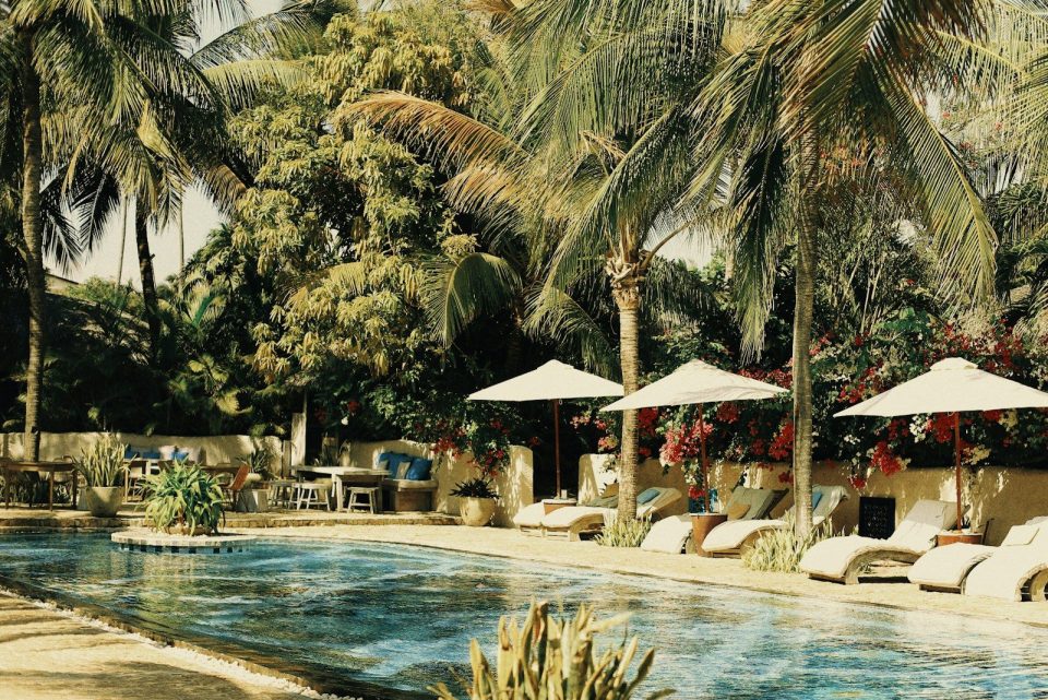 people sitting on white and brown outdoor lounge chairs near swimming pool during daytime
